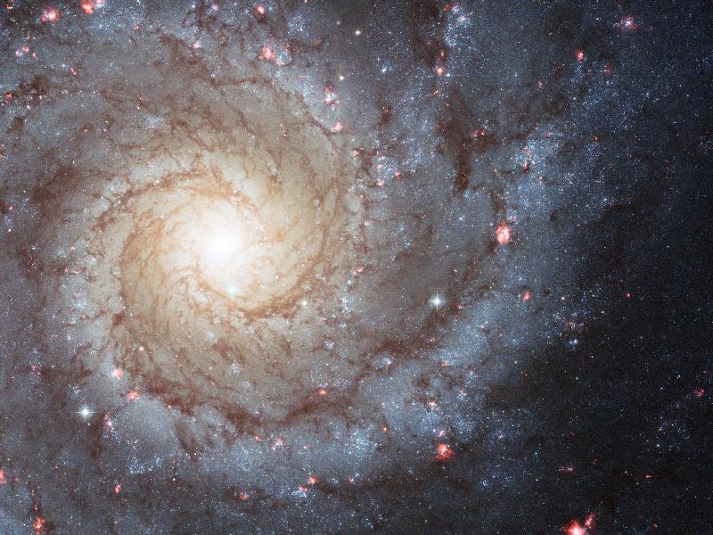 Galaxia M74