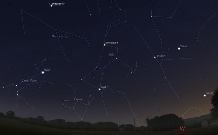 tauro-con-orion